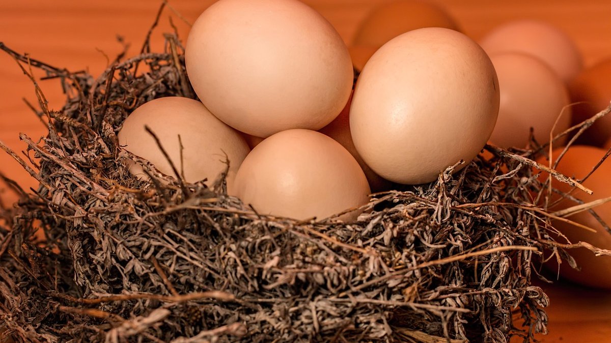 Protecting Young Plants from Late Frosts