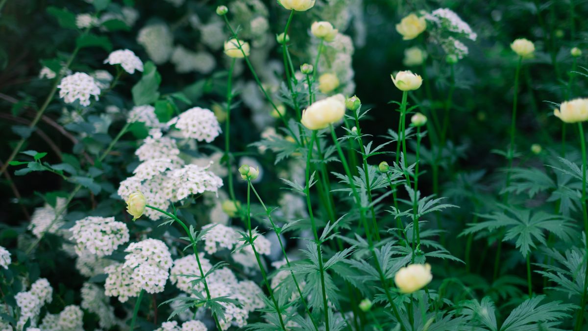 The Benefits of Mulching Flower Beds in Spring