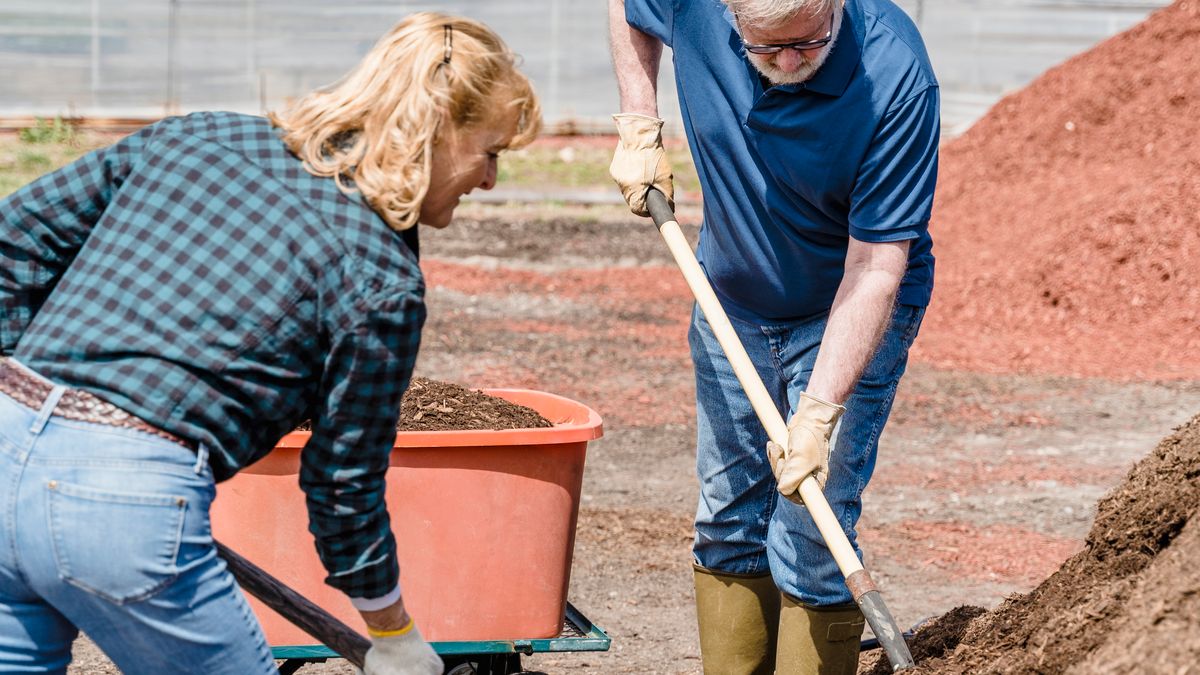 Understanding Soil pH for Healthier Plants